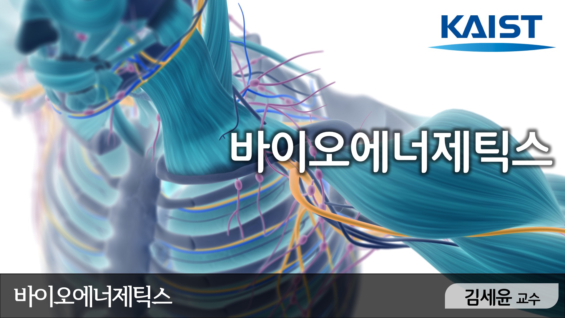 바이오에너제틱스(Bioenergetics) 개강일 2017-09-13 종강일 2017-12-24 강좌상태 종료